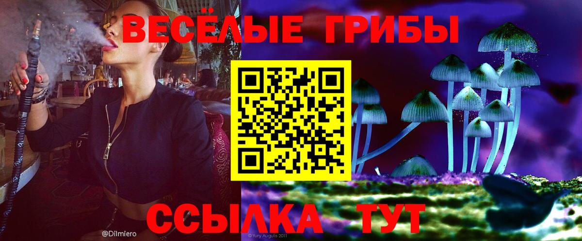 Галлюциногенные грибы Psilocybe  Вход с VPN  Кингисепп 